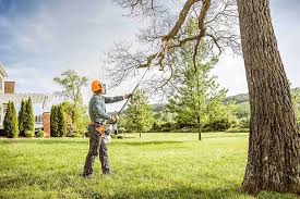 Best Tree Maintenance Programs  in Pleasantville, NJ